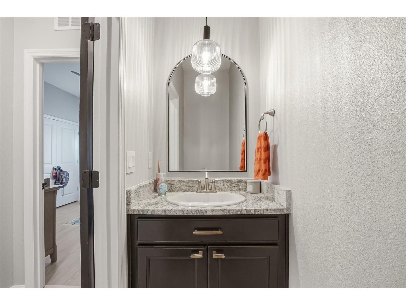 3228 Living Coral Drive Odessa FL 33556 O6408341 image33
