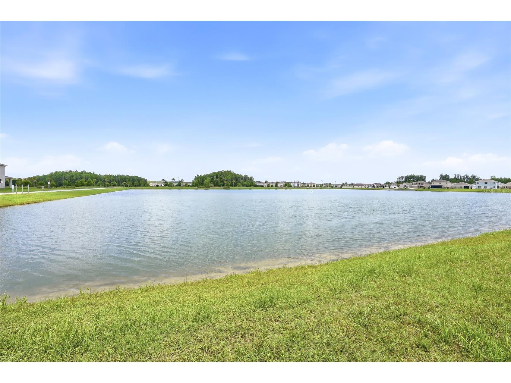 3228 Living Coral Drive Odessa FL 33556 O6408341 image40