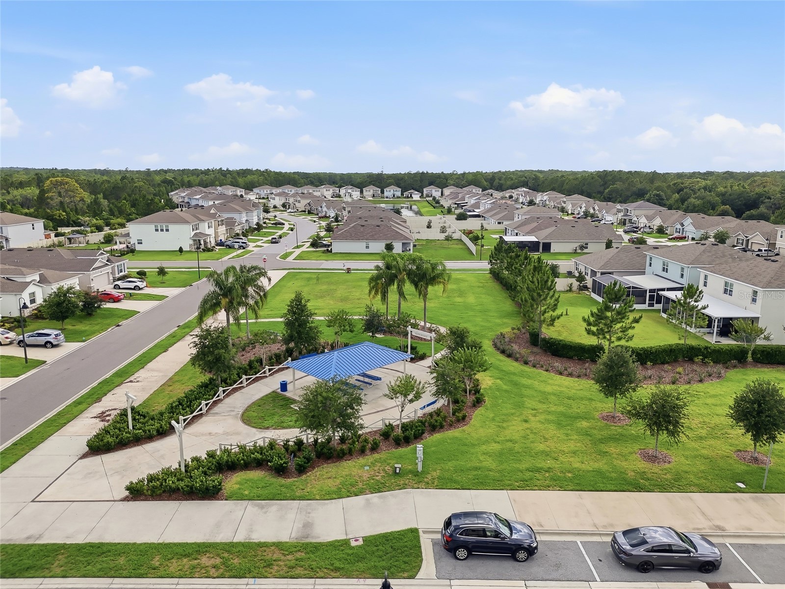 3228 Living Coral Drive Odessa FL 33556 O6408341 image50