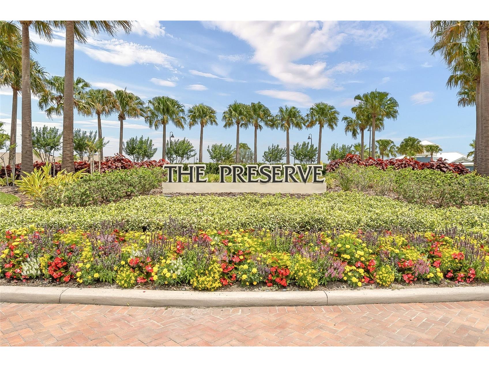 3228 Living Coral Drive Odessa FL 33556 O6408341 image55