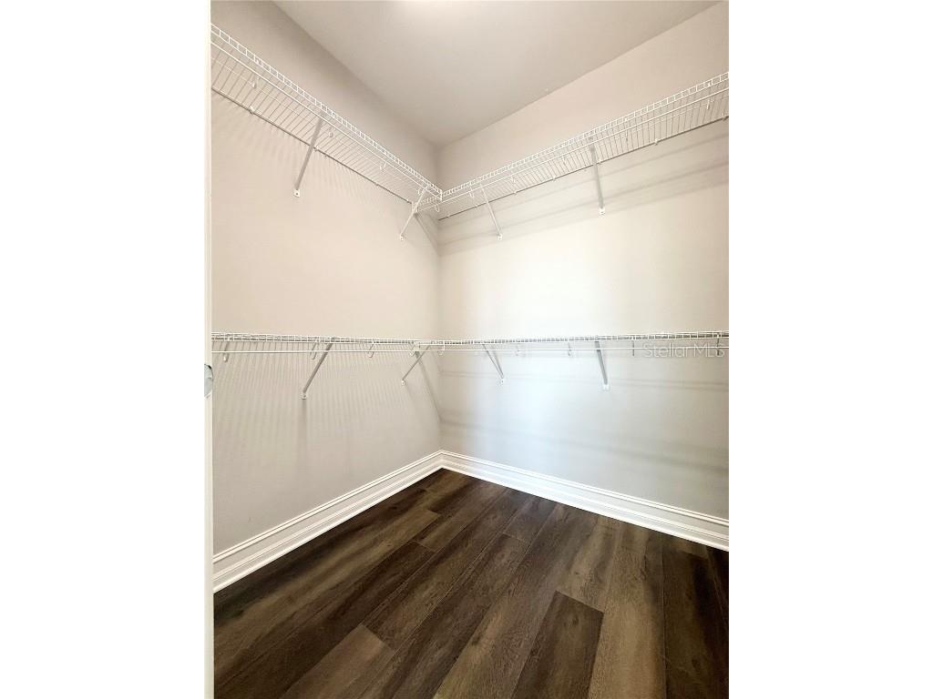 3228 Painted Blossom Court Lutz FL 33558 TB8437022 image13