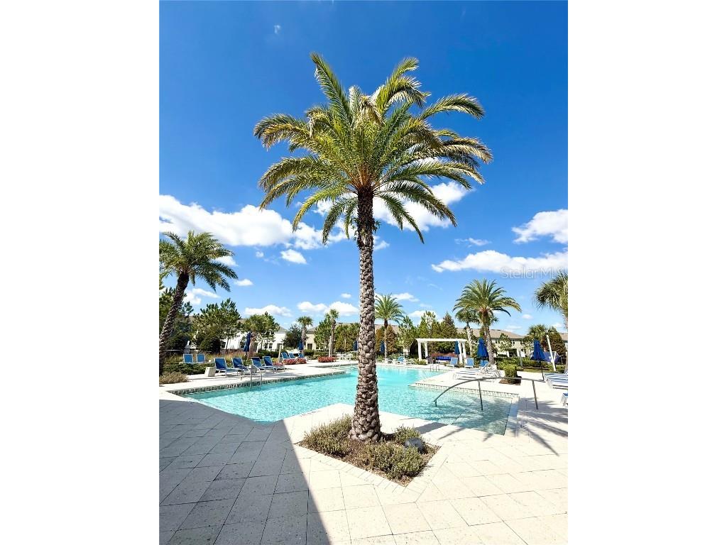 3228 Painted Blossom Court Lutz FL 33558 TB8437022 image20