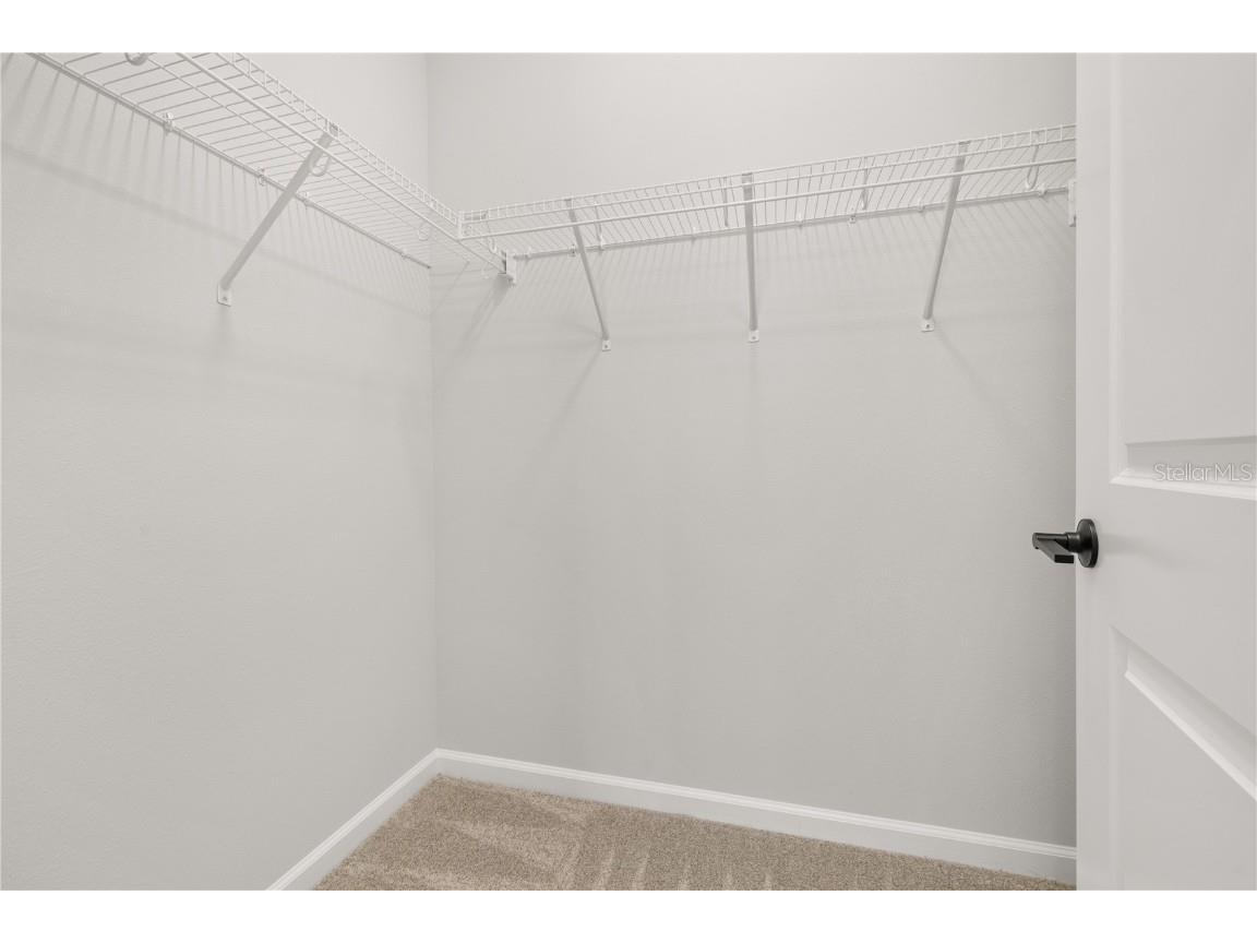 3228 Roseville Drive Apopka FL 32712 O6324327 image53