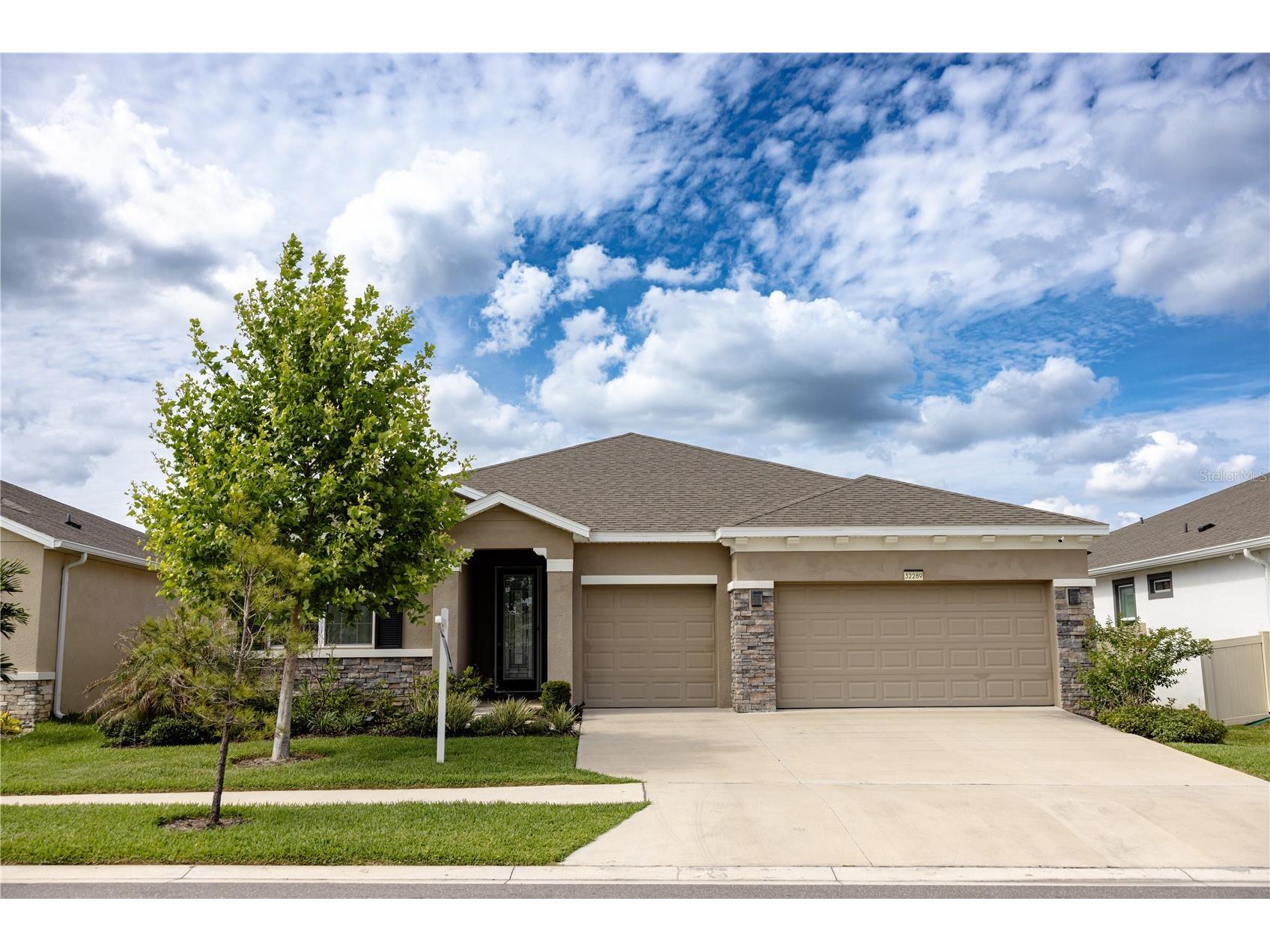 32289 Conchshell Sail Street Wesley Chapel FL 33545 TB8480346 image1