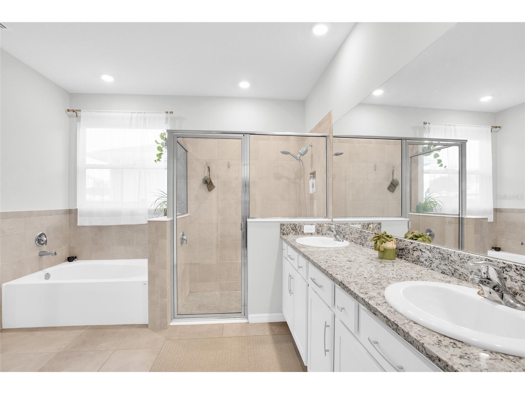32289 Conchshell Sail Street Wesley Chapel FL 33545 TB8480346 image21