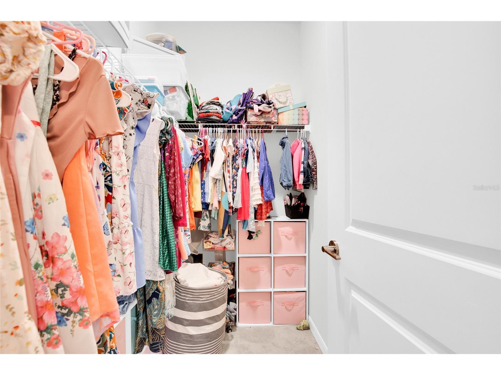 32289 Conchshell Sail Street Wesley Chapel FL 33545 TB8480346 image34