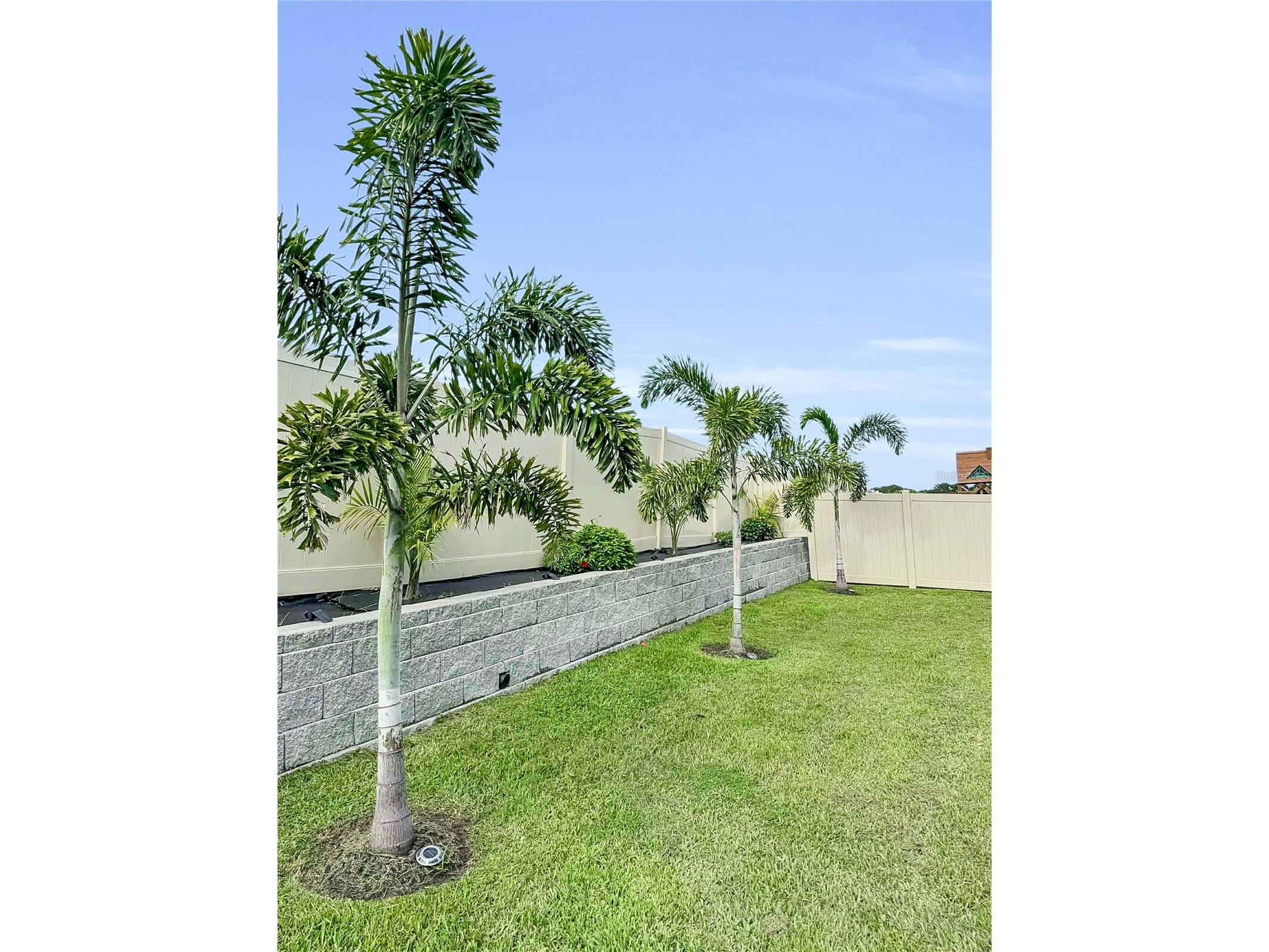 32289 Conchshell Sail Street Wesley Chapel FL 33545 TB8480346 image41
