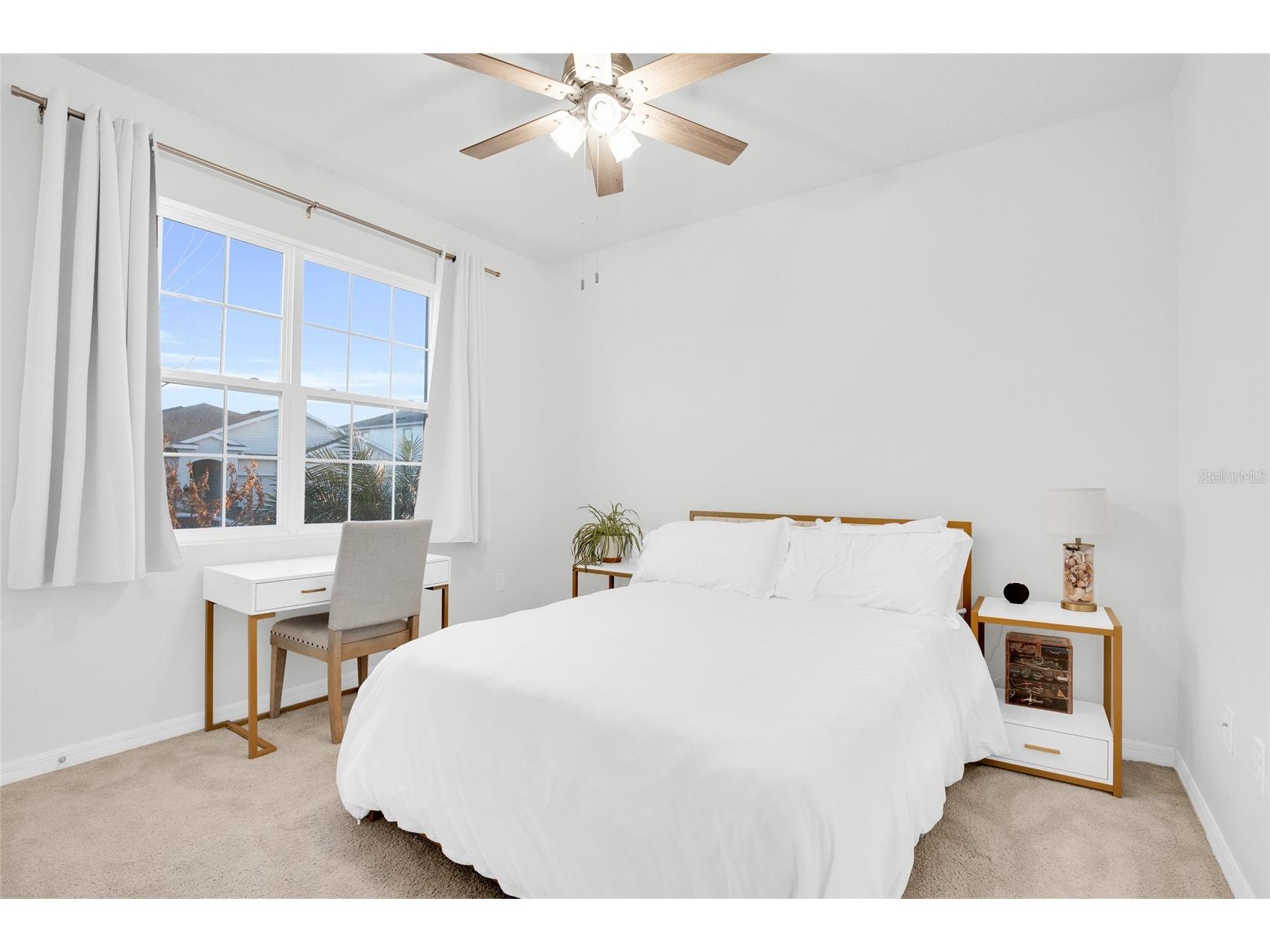 32289 Conchshell Sail Street Wesley Chapel FL 33545 TB8480346 image5