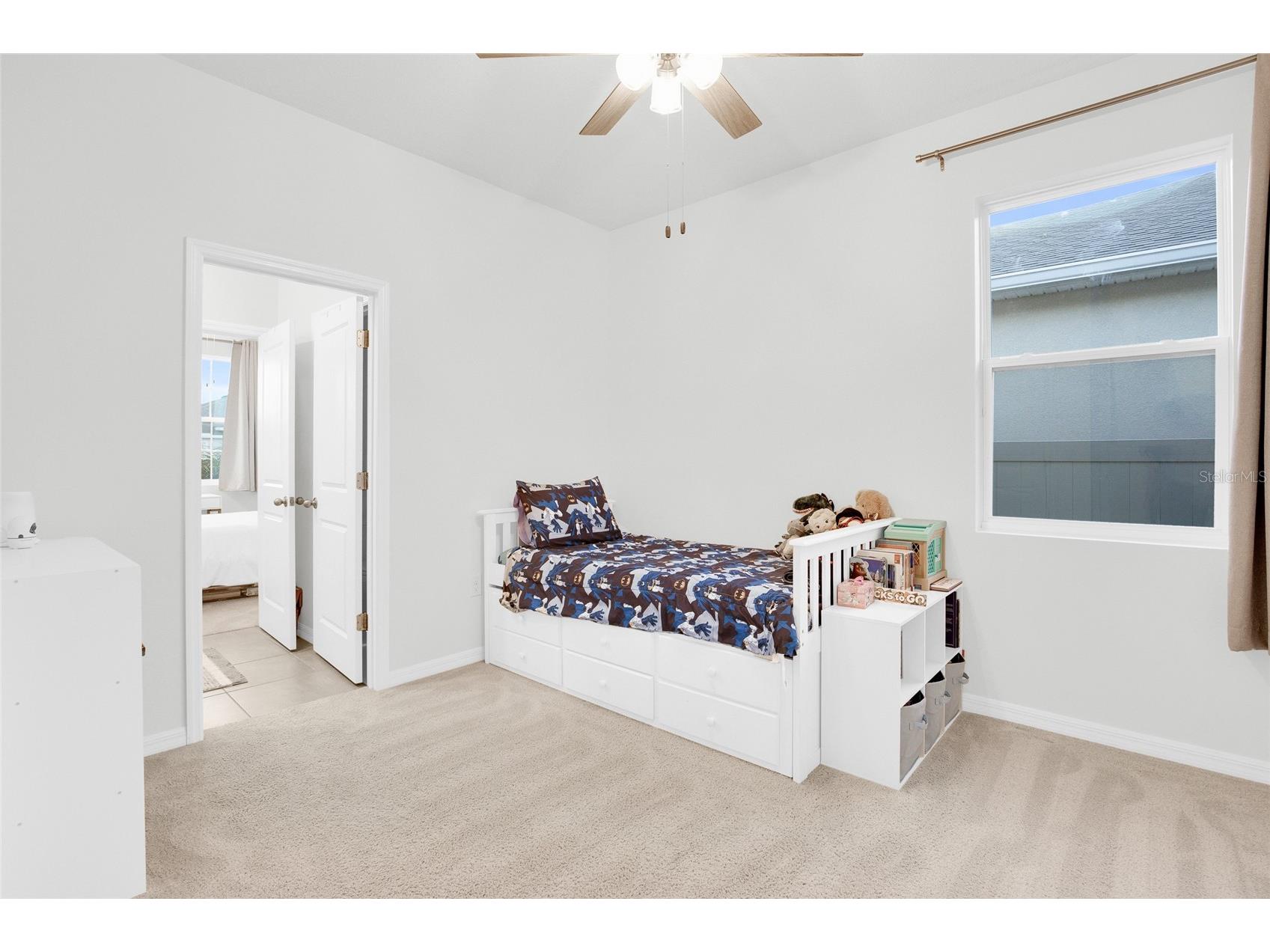 32289 Conchshell Sail Street Wesley Chapel FL 33545 TB8480346 image7