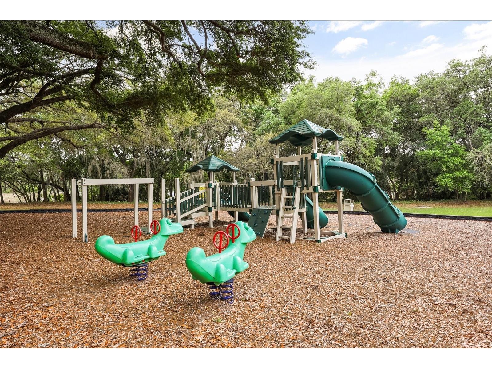 3229 Autumnwood Trail Apopka FL 32703 O6391543 image41