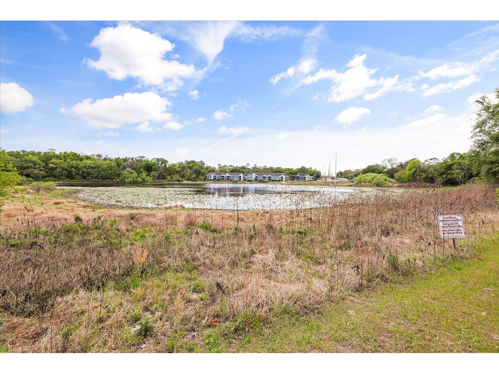 3229 Autumnwood Trail Apopka FL 32703 O6391543 image42