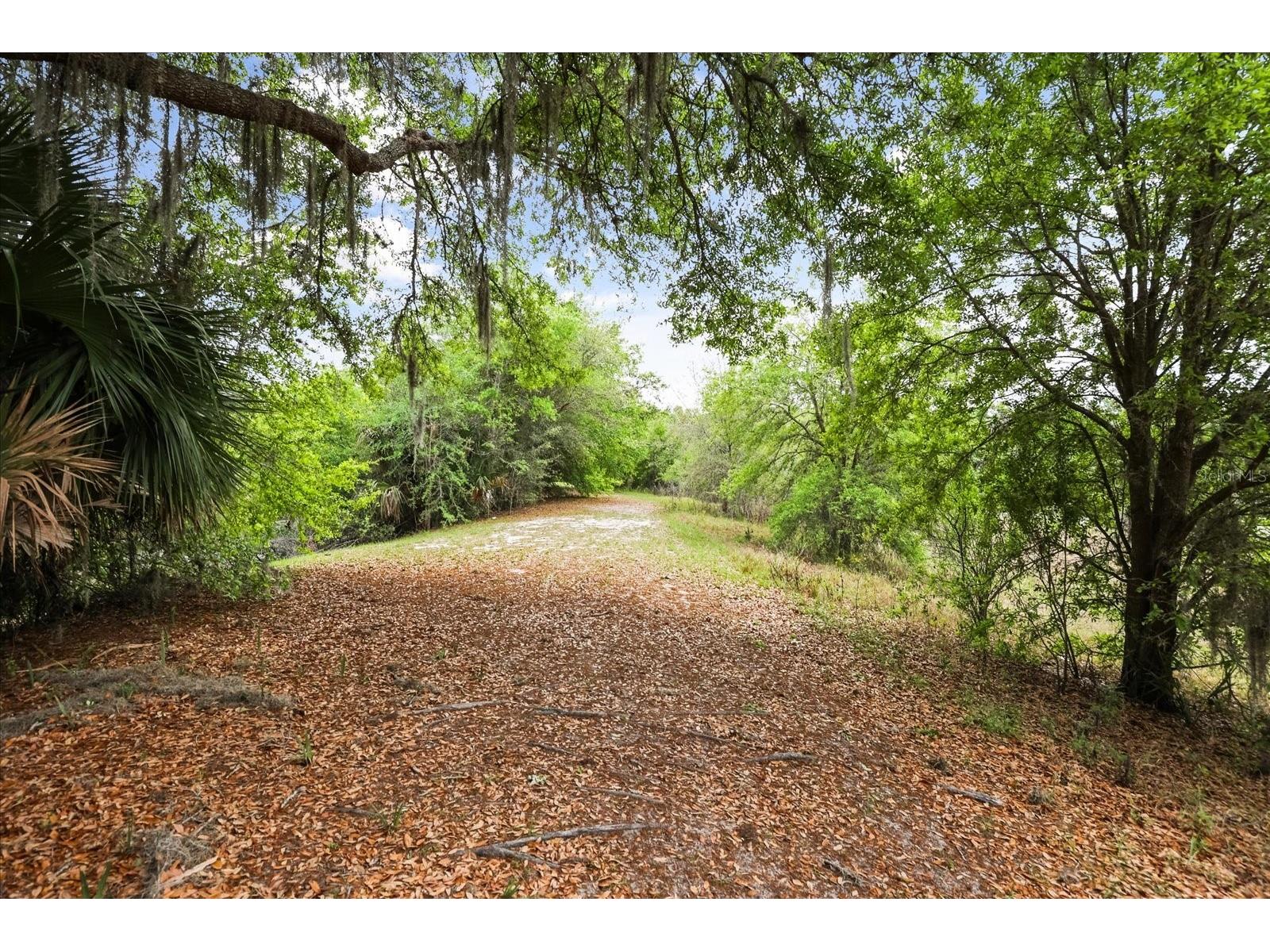 3229 Autumnwood Trail Apopka FL 32703 O6391543 image43