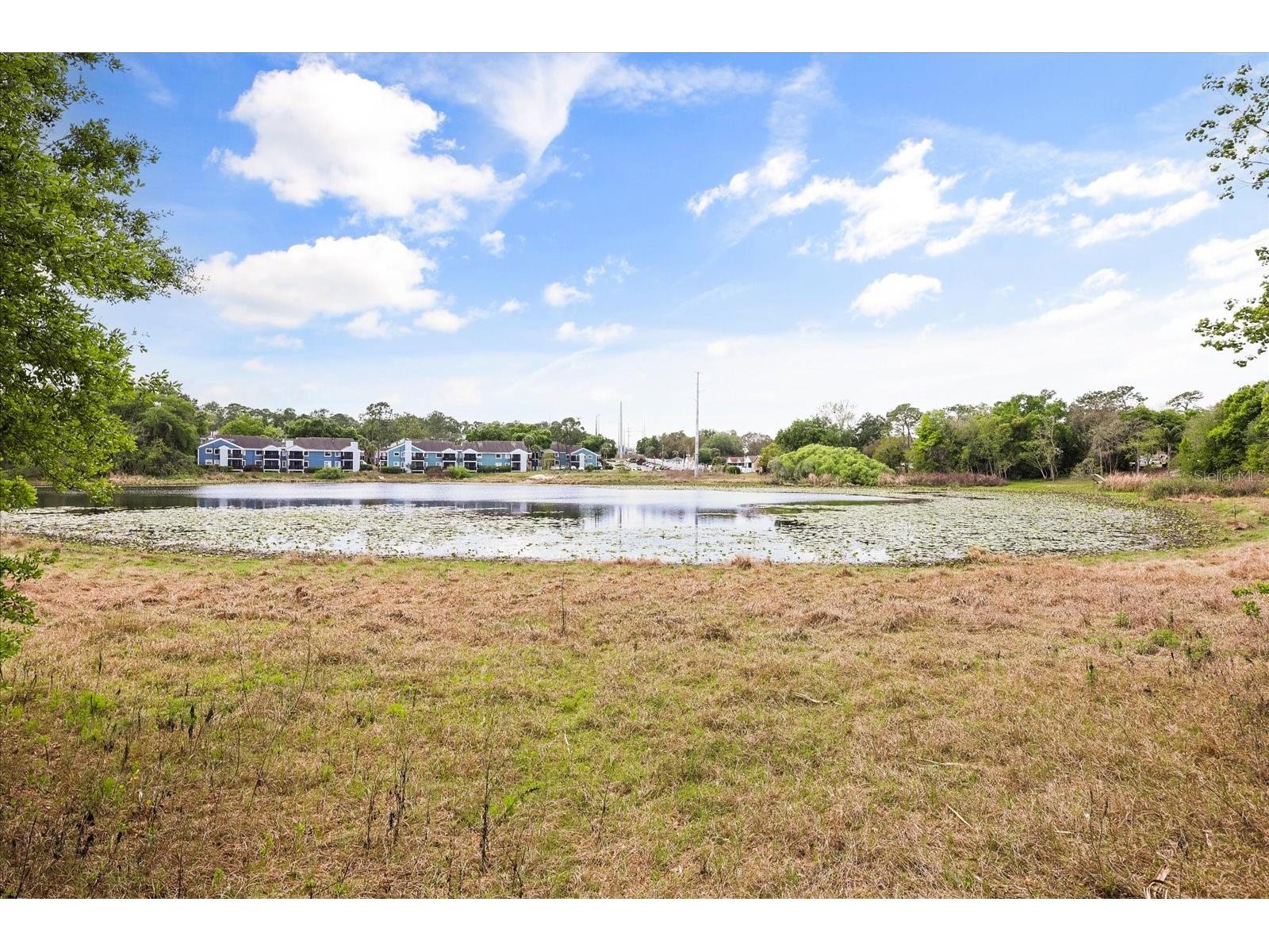3229 Autumnwood Trail Apopka FL 32703 O6391543 image44