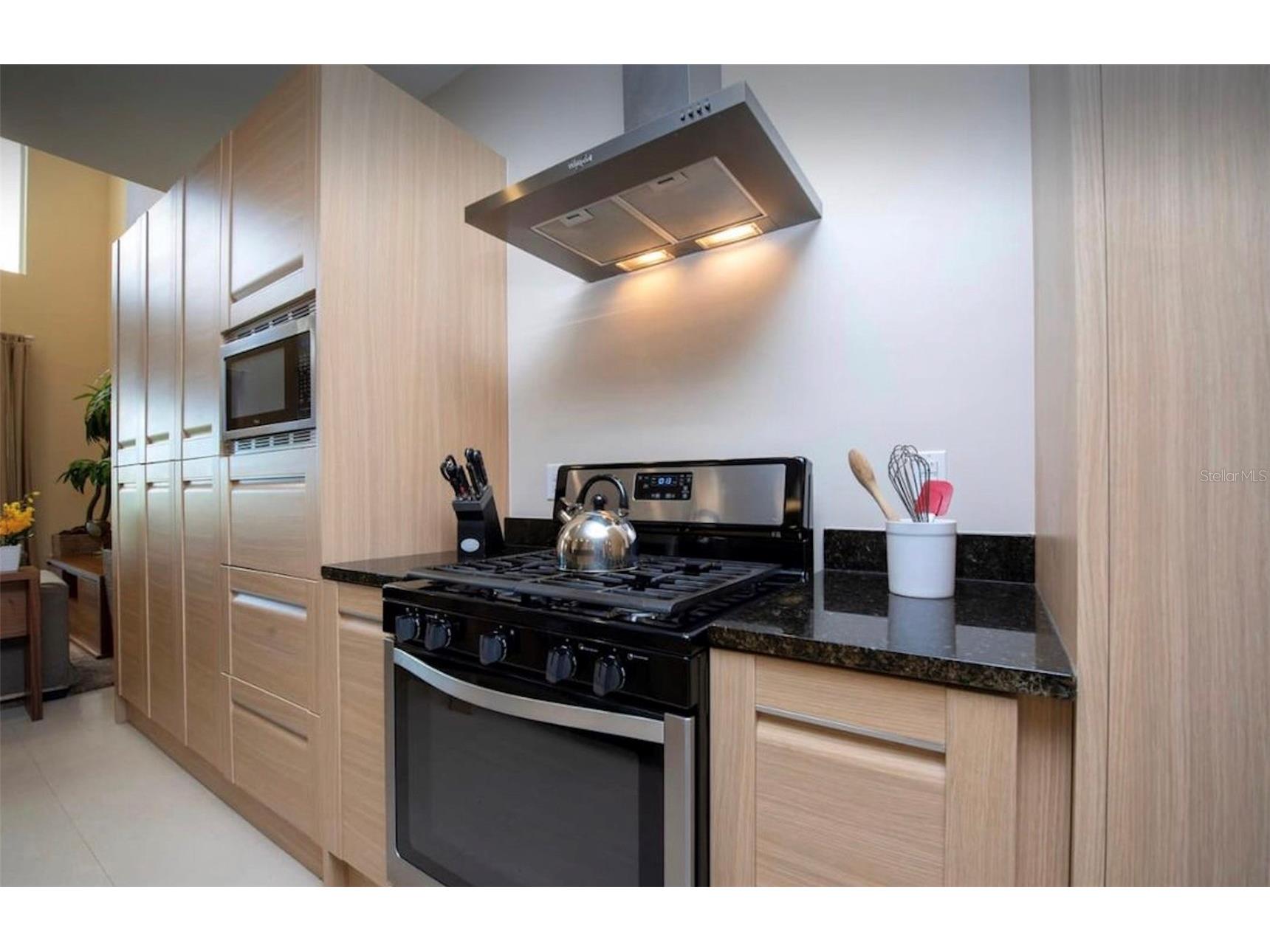 3229 Brasilia Avenue Kissimmee FL 34747 S5143074 image9