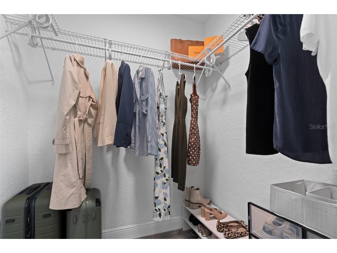 3229 Parkway Place Palm Harbor FL 34684 TB8442469 image19