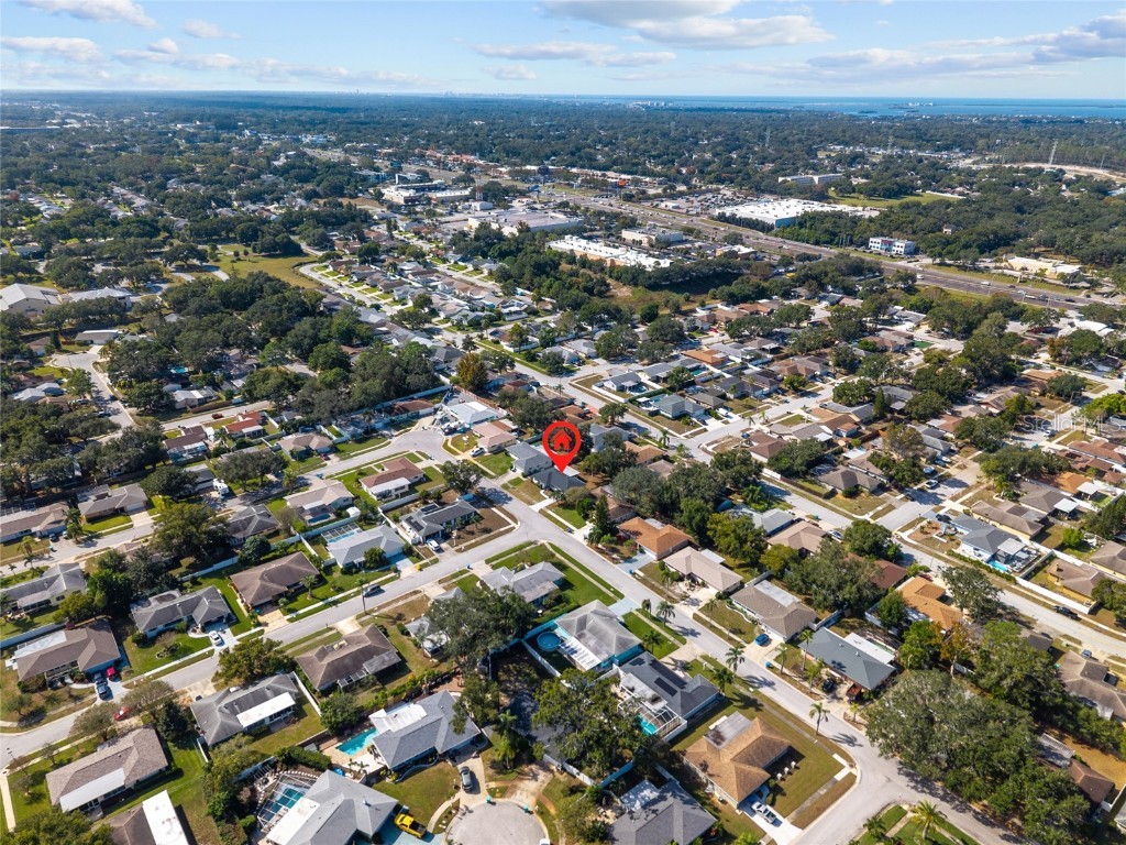 3229 Parkway Place Palm Harbor FL 34684 TB8442469 image33