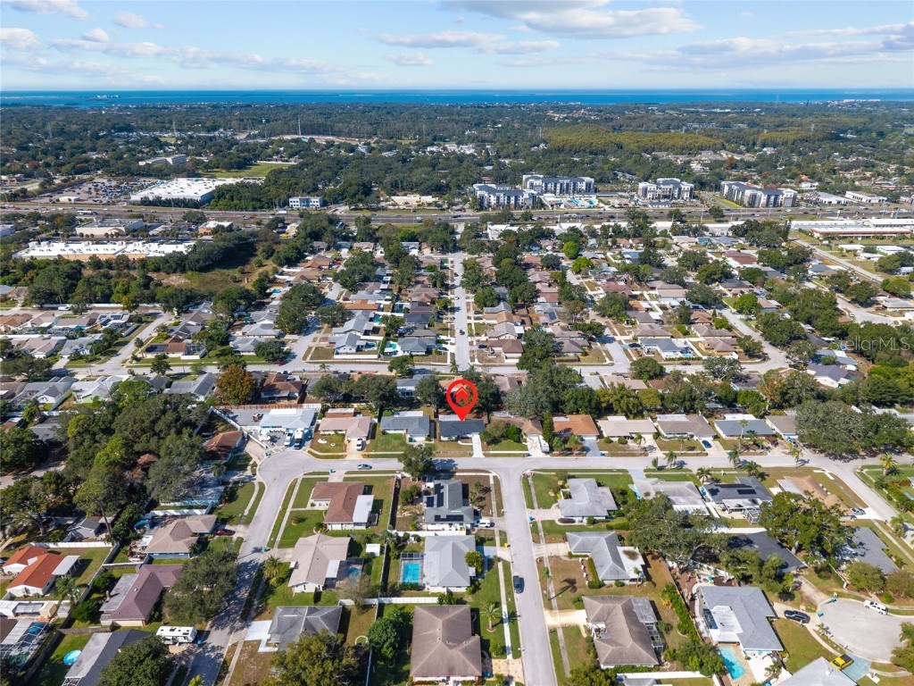 3229 Parkway Place Palm Harbor FL 34684 TB8442469 image4