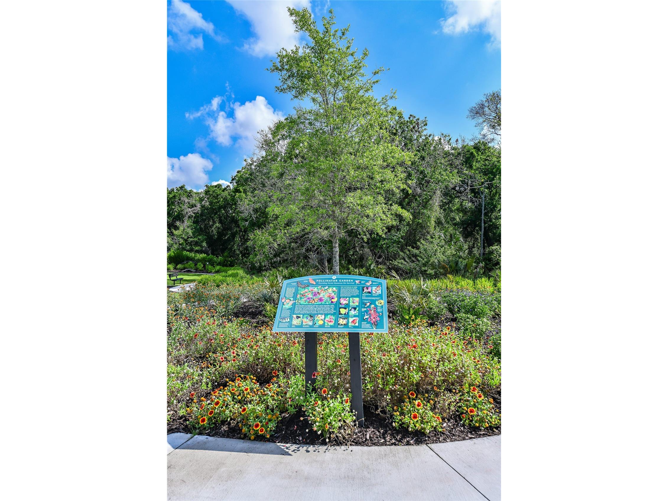 3229 Torta Court Bradenton FL 34211 A4686836 image29