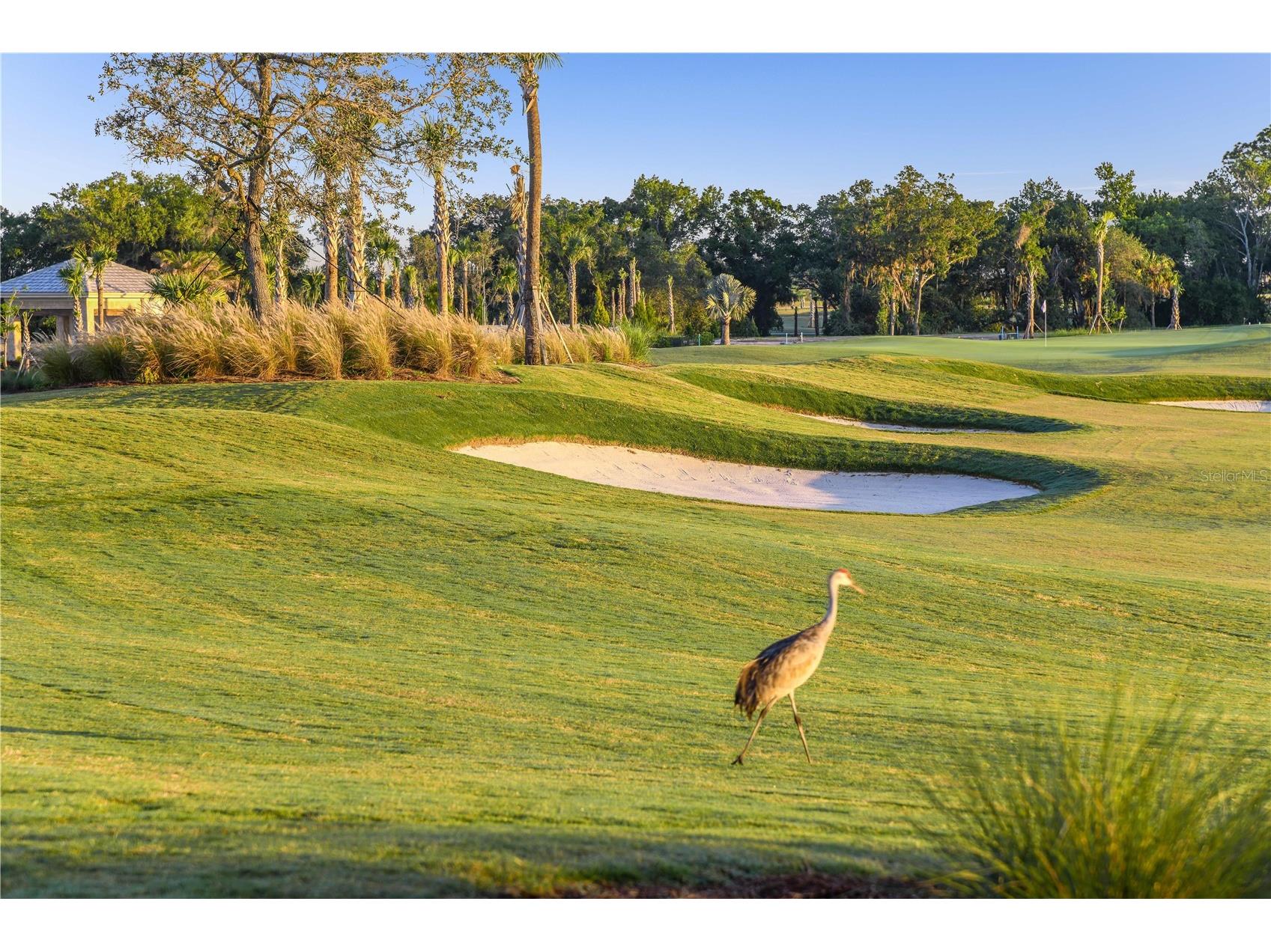 3229 Torta Court Bradenton FL 34211 A4686836 image46