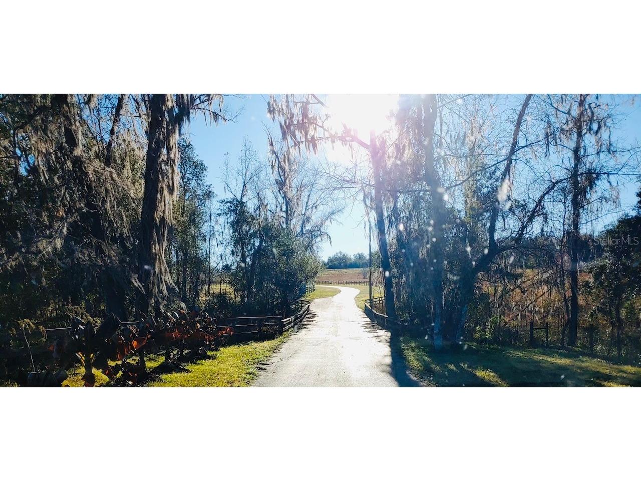 32291 Rusty Creek Trail Dade City FL 33525 W7862220 image1