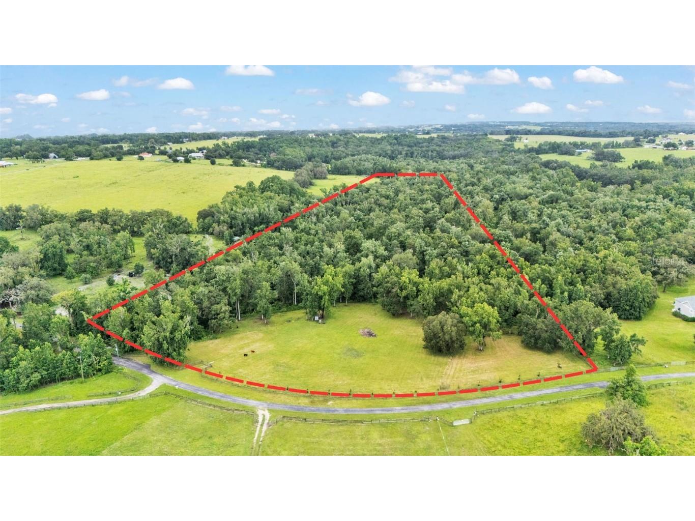 32291 Rusty Creek Trail Dade City FL 33525 TB8403392 image1