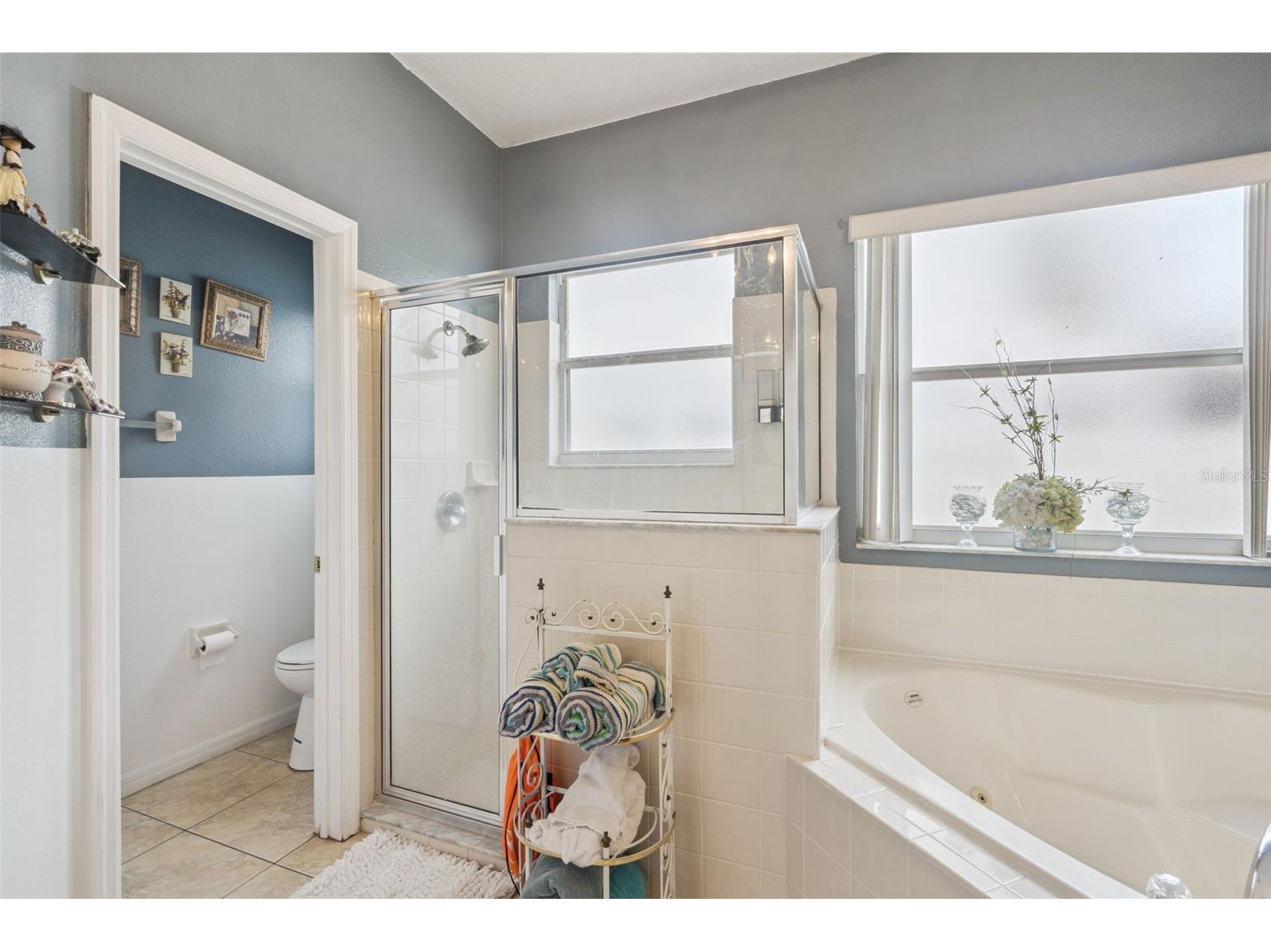 323 Aldershot Court Kissimmee FL 34758 TB8495328 image30