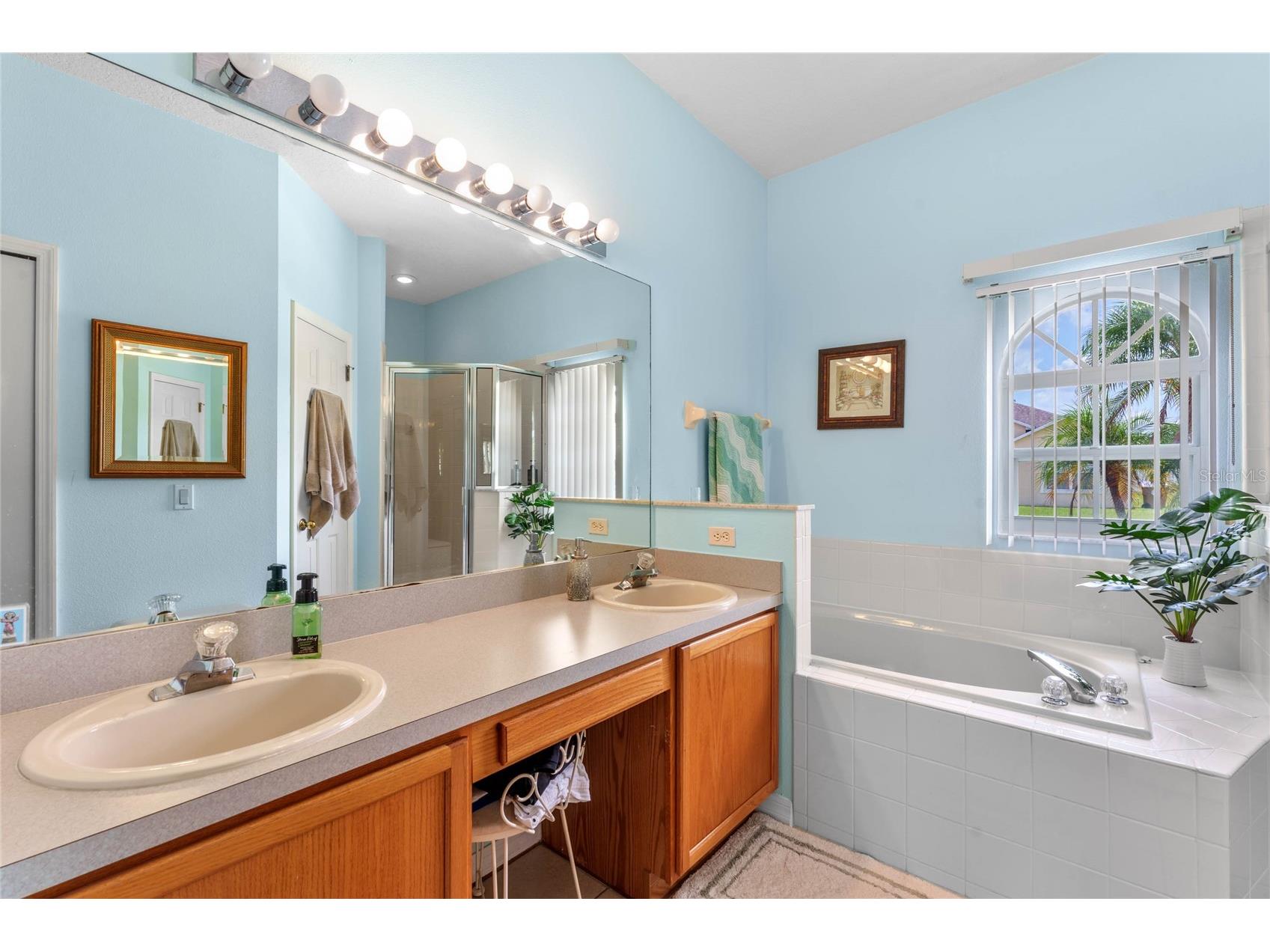 323 Alegriano Court Kissimmee FL 34758 O6414545 image28