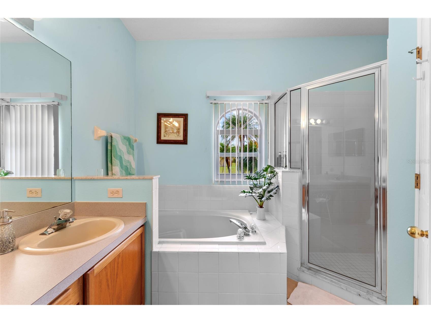 323 Alegriano Court Kissimmee FL 34758 O6414545 image29