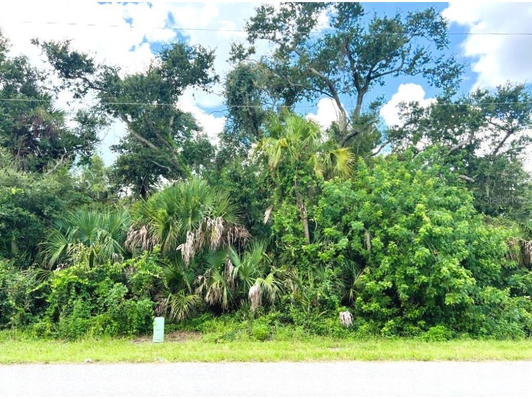 323 Canora Drive Port Charlotte FL 33954 C7513802 image2