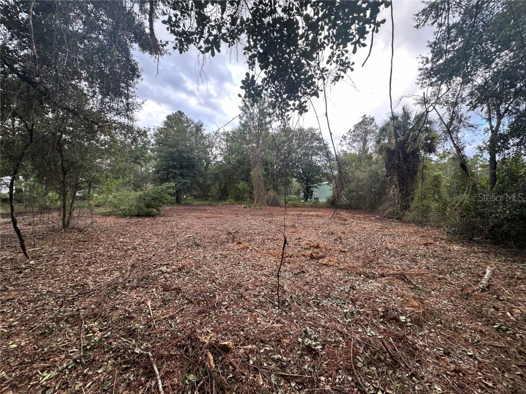 323 Carteret Road Georgetown FL 32139 O6354236 image2