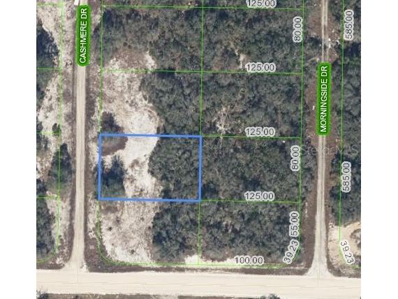 323 Cashmere Drive Lake Placid FL 33852 U8241275 image1