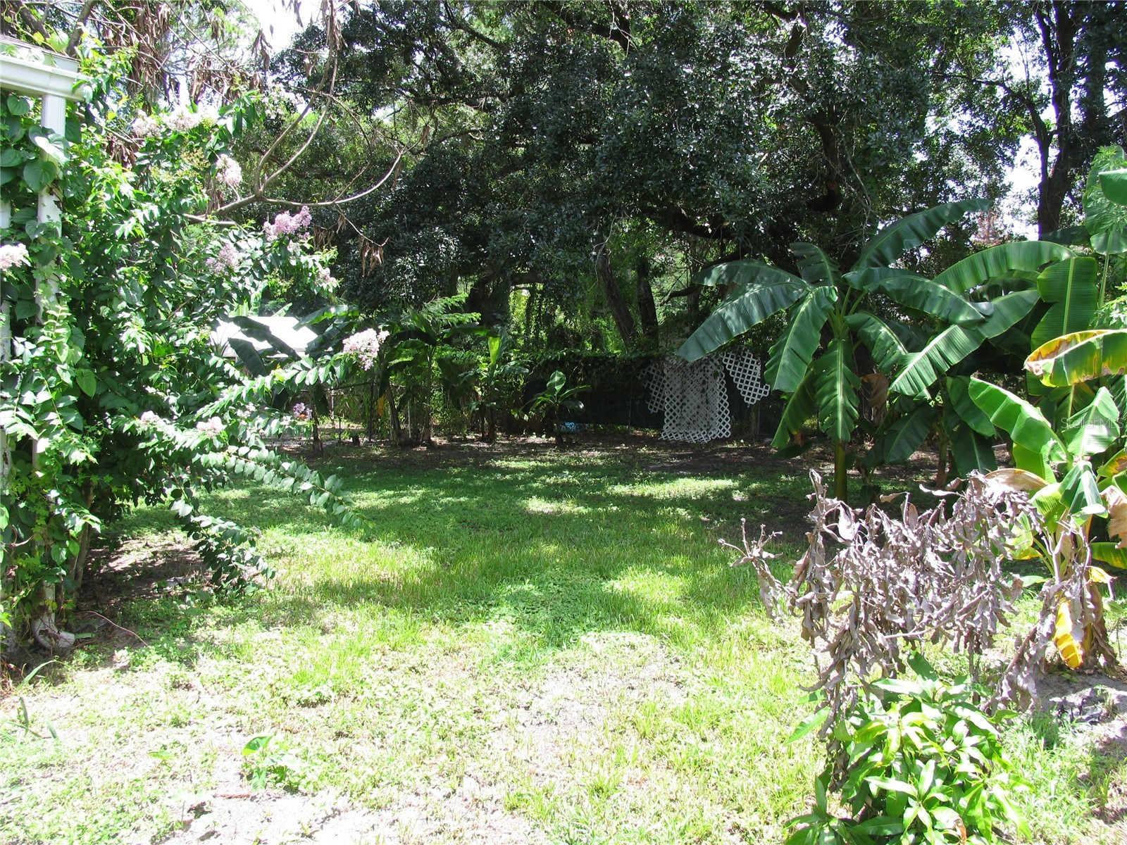323 Dover Street Orlando FL 32811 O6420571 image10