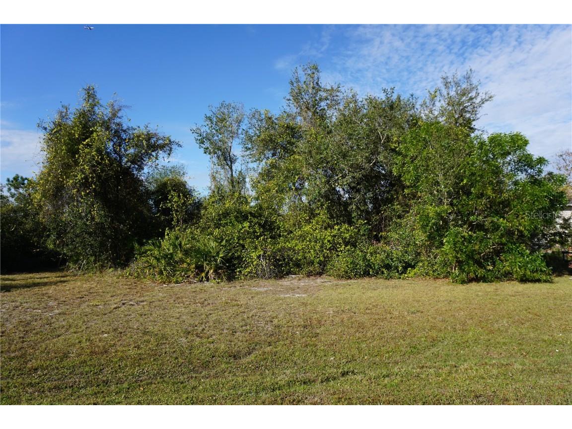 323 Hiram Street Punta Gorda FL 33982 C7503448 image3