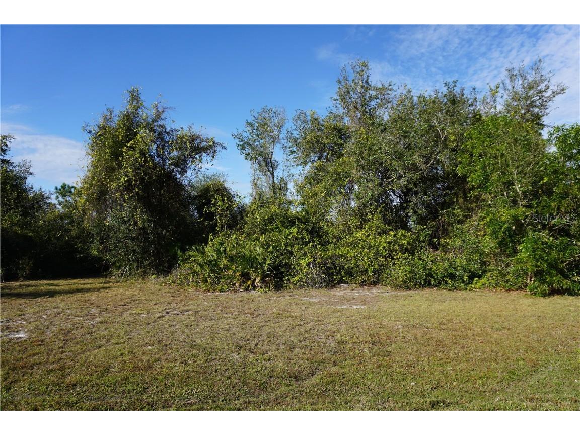 323 Hiram Street Punta Gorda FL 33982 C7503448 image8