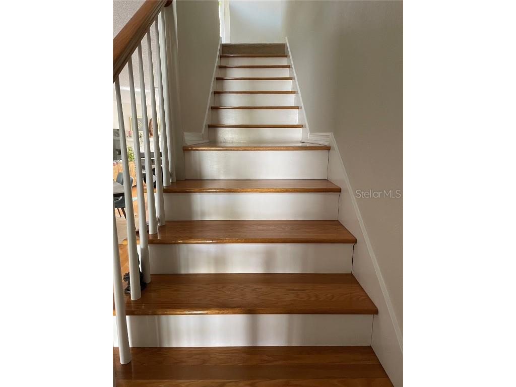 323 Madeira Circle Tierra Verde FL 33715 TB8436679 image13