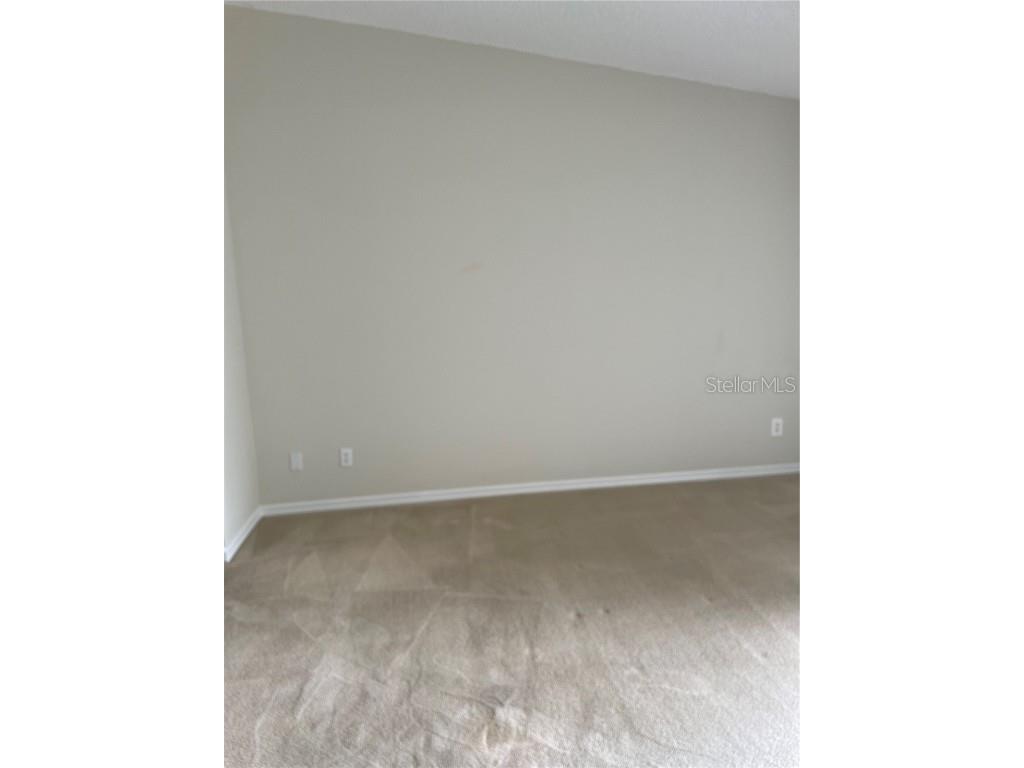 323 Madeira Circle Tierra Verde FL 33715 TB8436679 image19