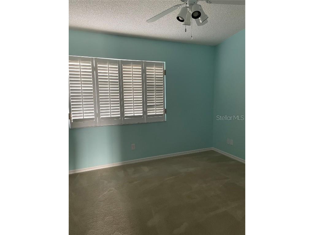 323 Madeira Circle Tierra Verde FL 33715 TB8436679 image26