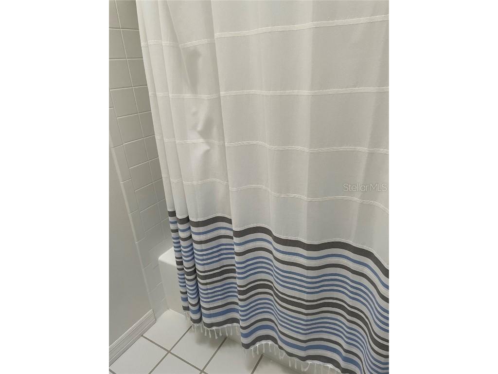 323 Madeira Circle Tierra Verde FL 33715 TB8436679 image28