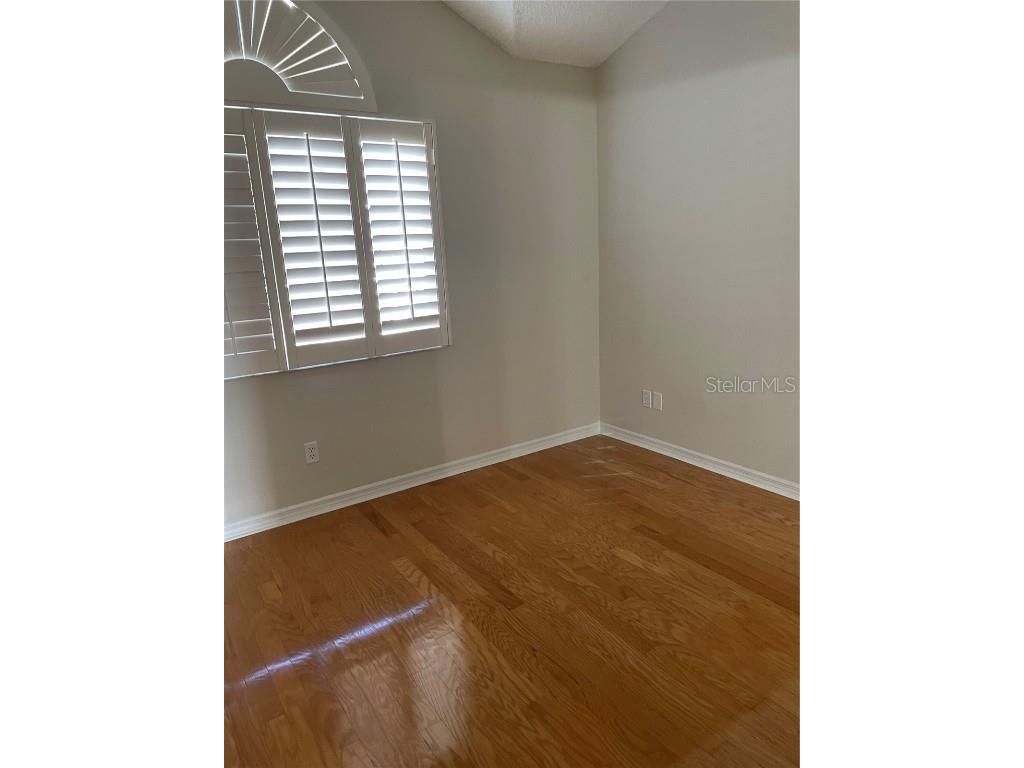 323 Madeira Circle Tierra Verde FL 33715 TB8436679 image29