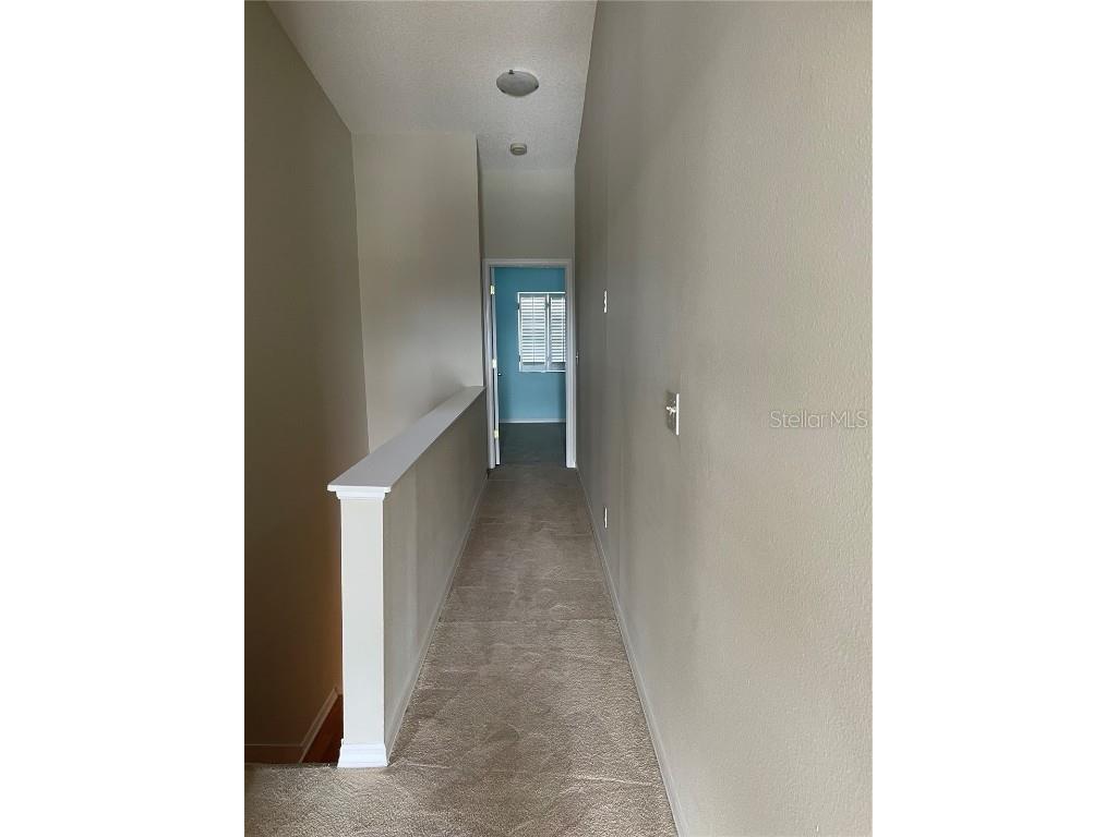 323 Madeira Circle Tierra Verde FL 33715 TB8436679 image43