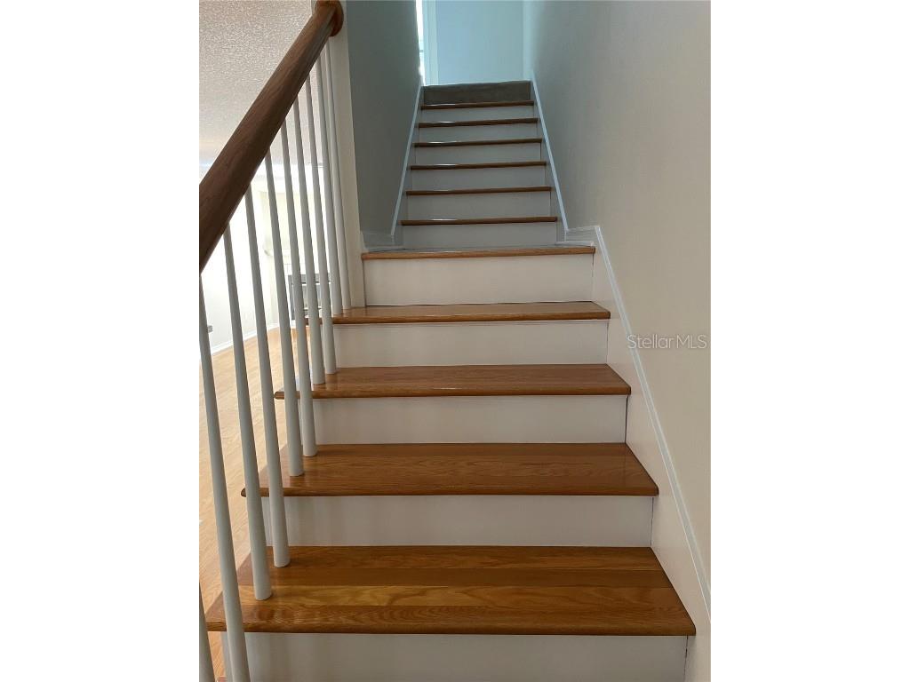 323 Madeira Circle Tierra Verde FL 33715 TB8436679 image46