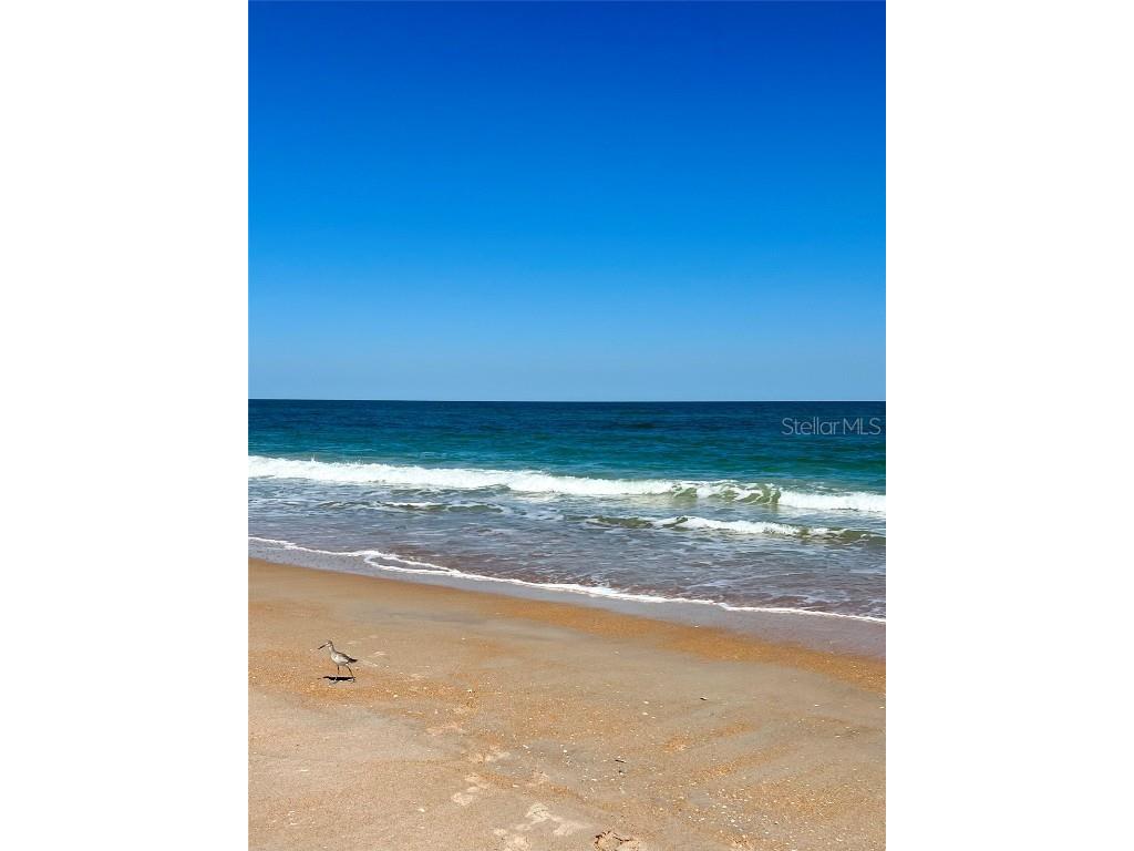 323 N 10th Street Flagler Beach FL 32136 FC313878 image45