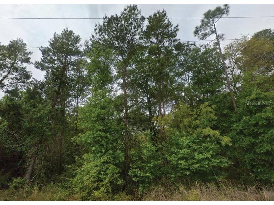 323 Ridge Road Satsuma FL 32189 O6321741 image1