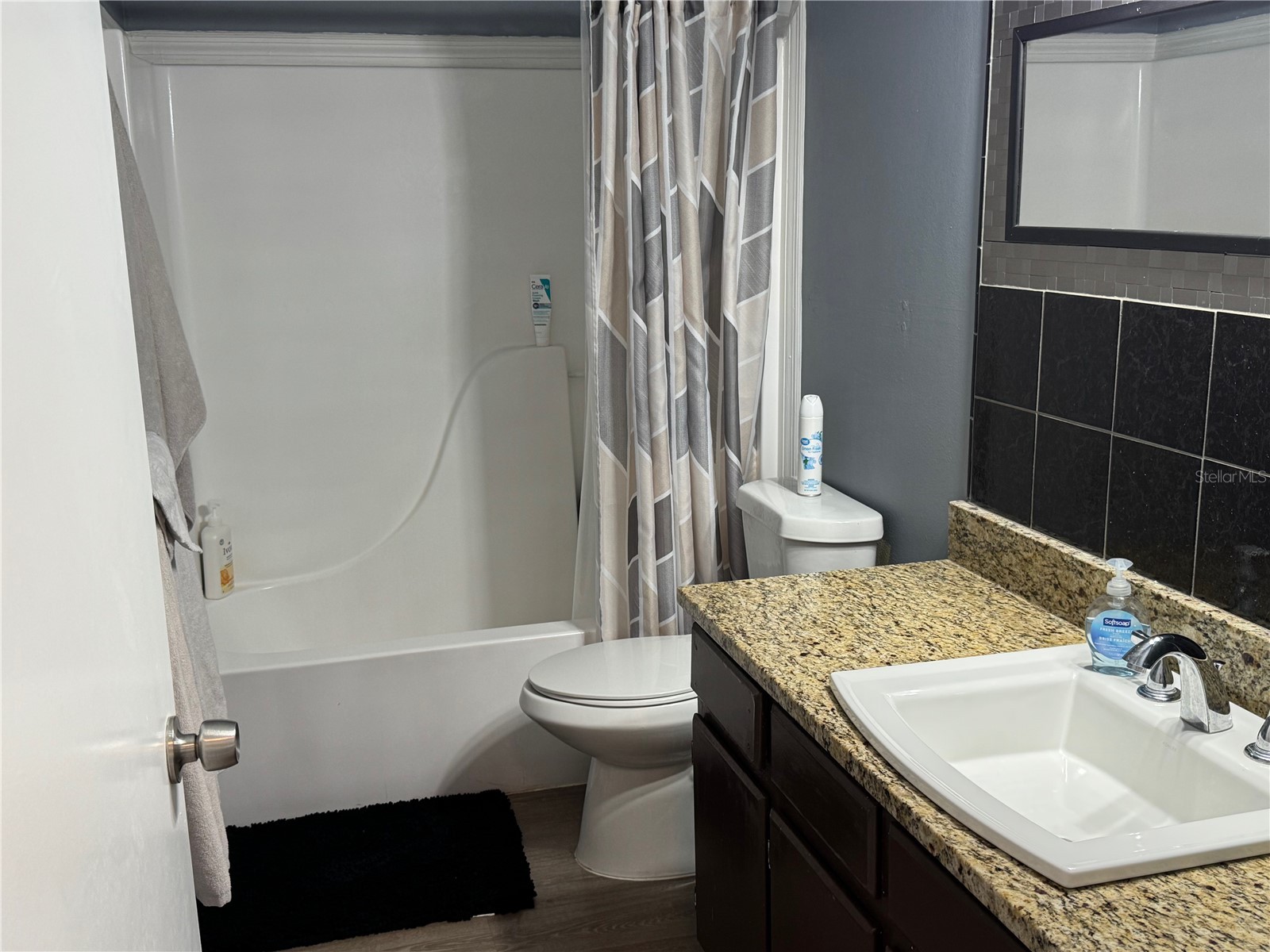 323 Savage Way Groveland FL 34736 O6403163 image13