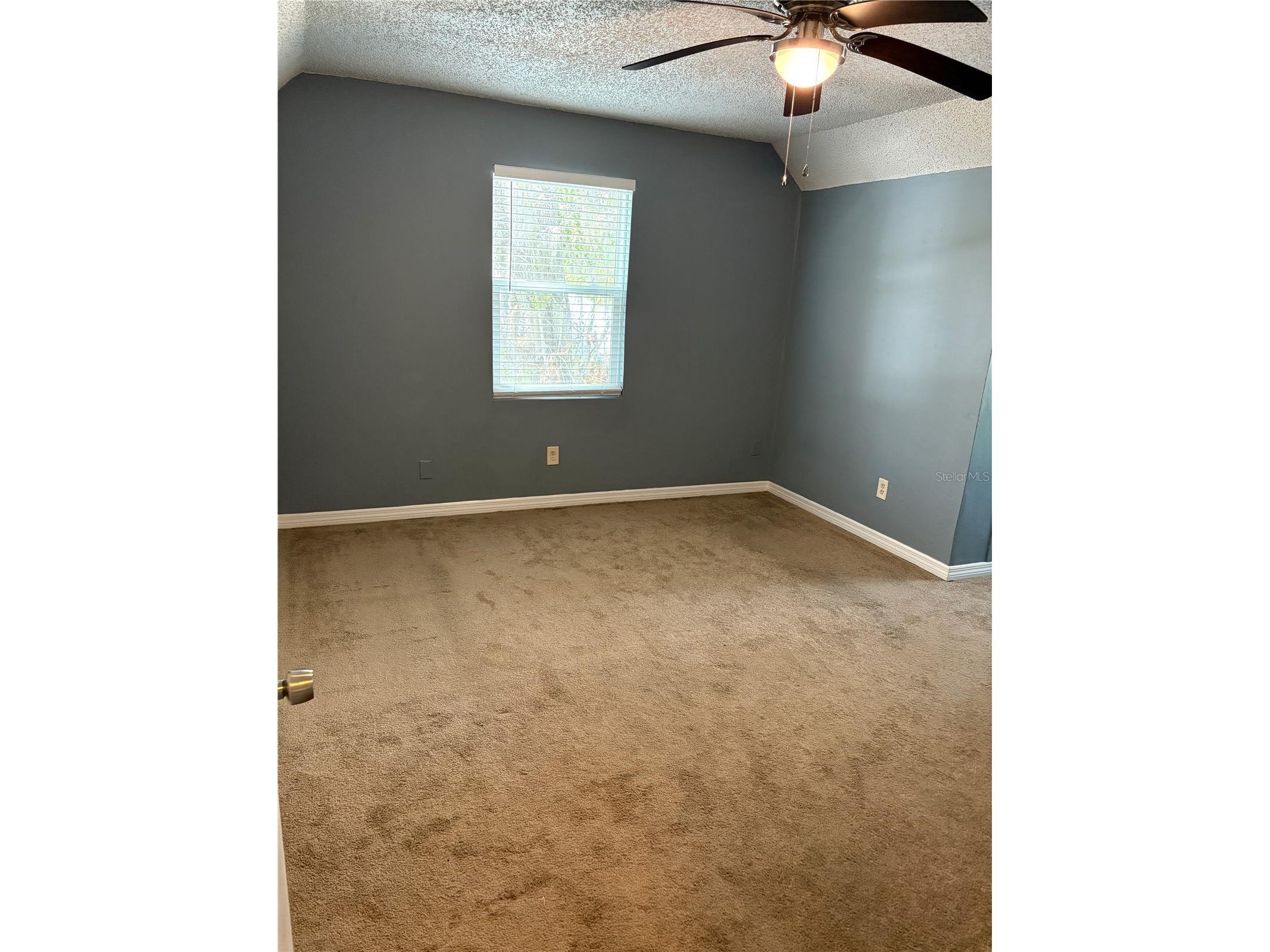 323 Savage Way Groveland FL 34736 O6403163 image15