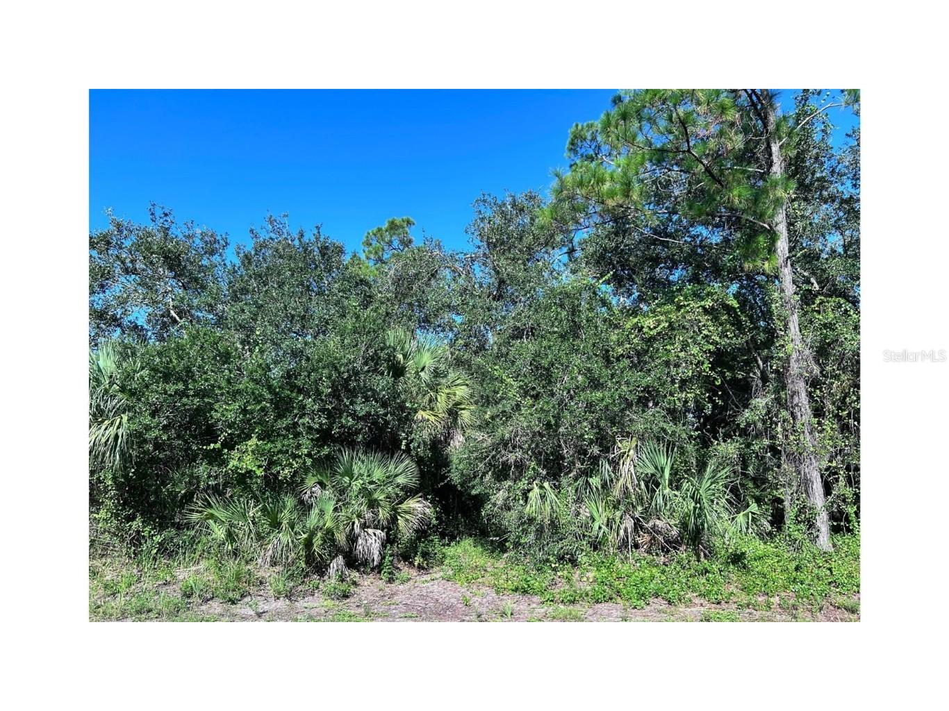 323 Troutdale Street Port Charlotte FL 33954 C7514521 image1