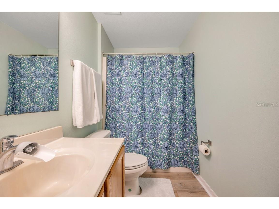 3230 Bellericay Lane Land O Lakes FL 34638 TB8389269 image1
