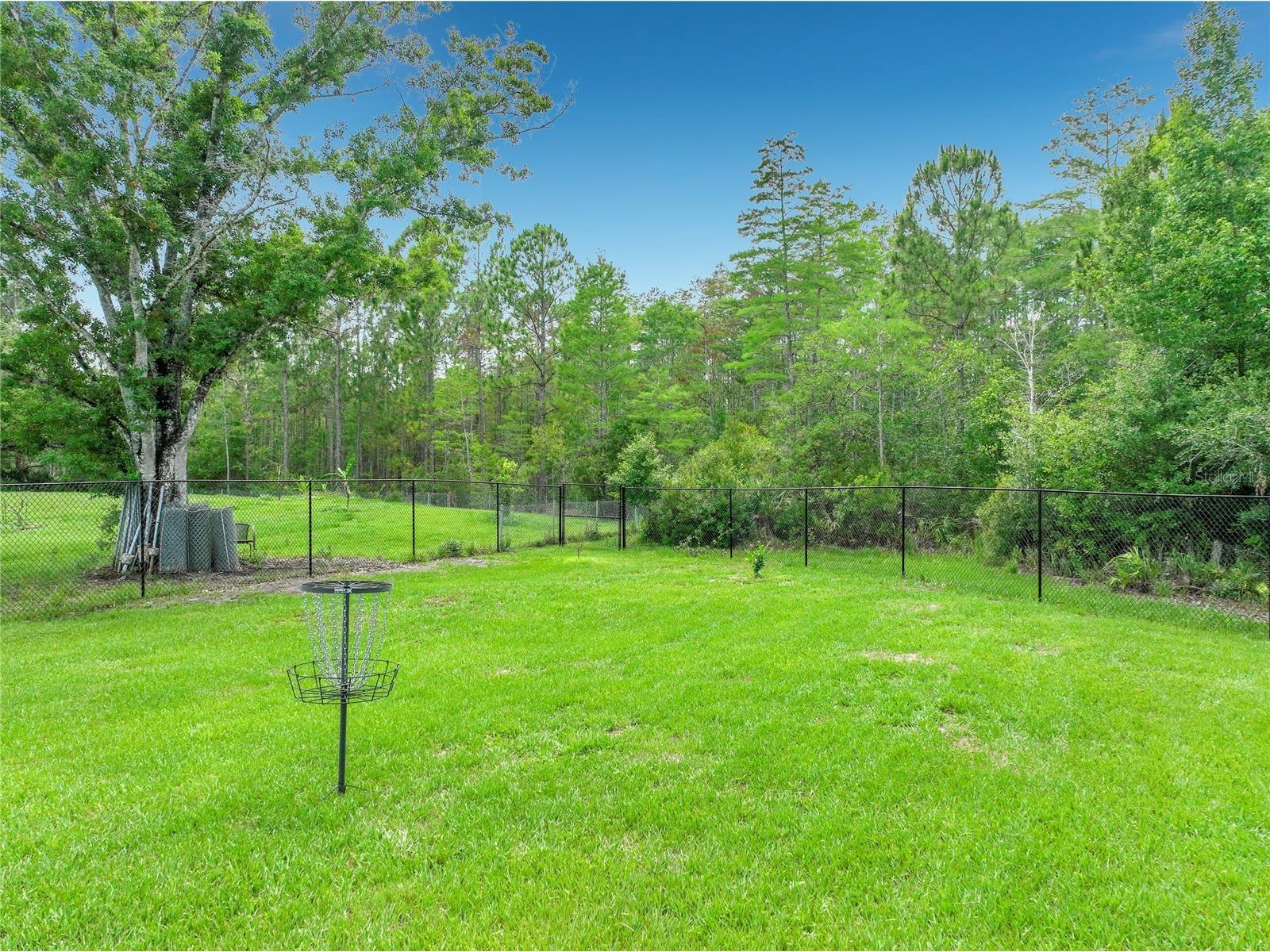 3230 Cavalier Avenue Orlando FL 32833 O6410925 image37