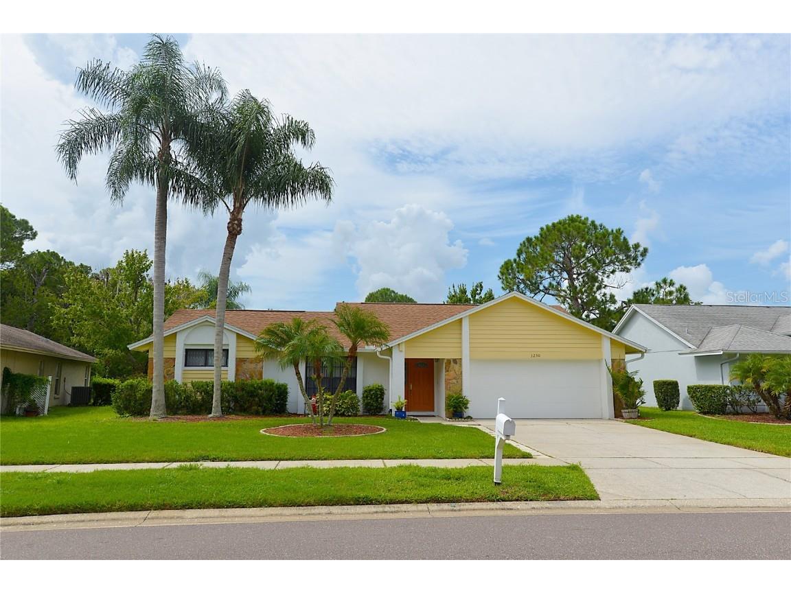 3230 Centerwood Drive Tarpon Springs FL 34688 U8252395 image1