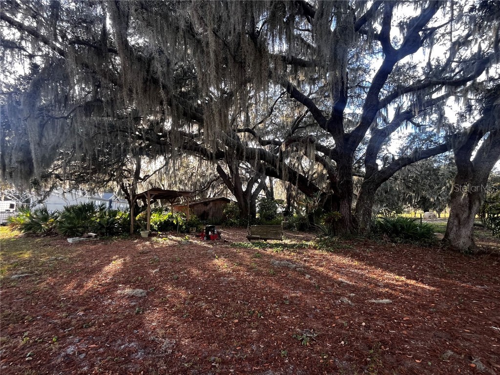 3230 Empire Church Road Groveland FL 34736 G5105677 image12